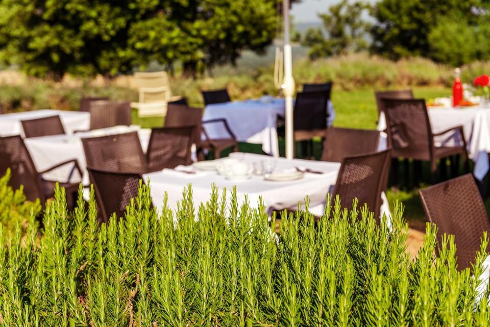 Agriturismo & Cantina Tenuta Casteani Ribolla Zewnętrze zdjęcie