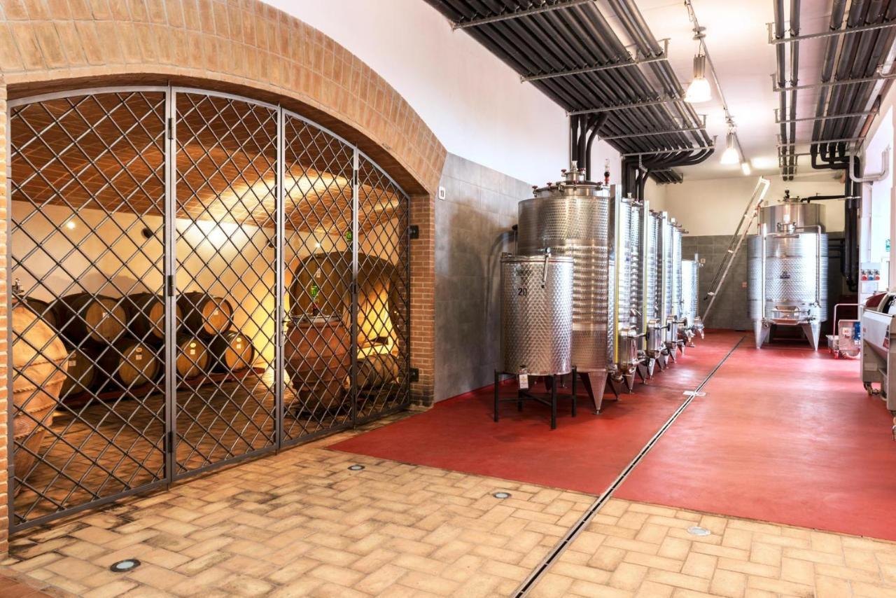 Agriturismo & Cantina Tenuta Casteani Ribolla Zewnętrze zdjęcie